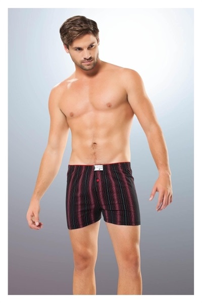 1279 Boxer Anıt DESENLİ