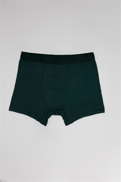 Loft Erkek Boxer&Külot LF2033634 GREEN