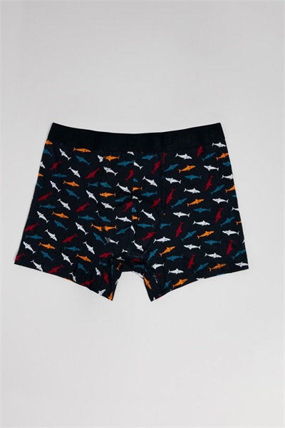 Loft Erkek Boxer&Külot LF2035963 MULTI COLOUR