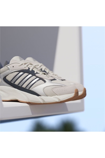 1_org_zoom21.jpg