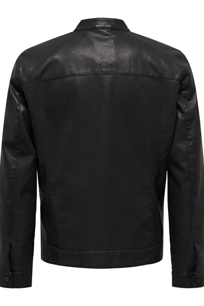 ons__2958489__back.jpg