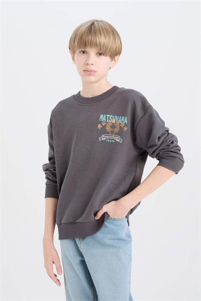 Defacto Erkek Çocuk  Sweat D8497A8/AR15 ANTHRA