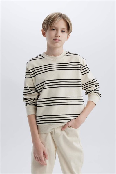 Defacto Erkek Çocuk  Sweat D7716A8/BG734 STONE