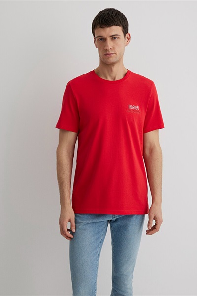 Mavi Baskılı Erkek T-shirt M066841-33099 Çin Kırmızısı