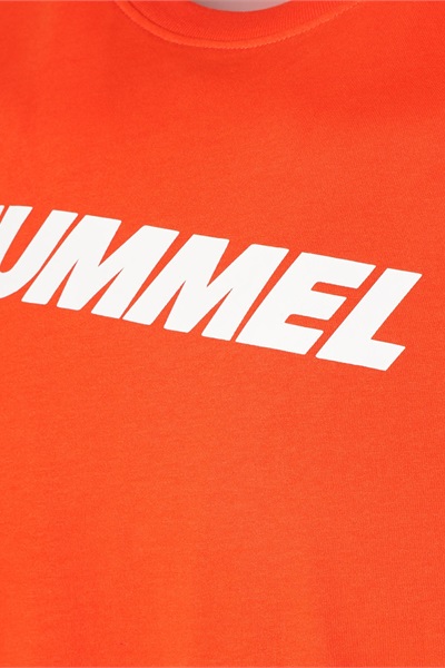 911947-5022-elemental-logo-cotto6.jpg