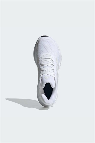 26k339ji4230_3390061-.jpg