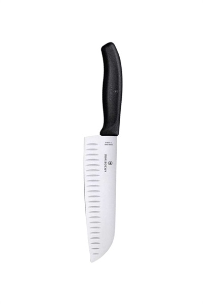 zst700000026----.jpg