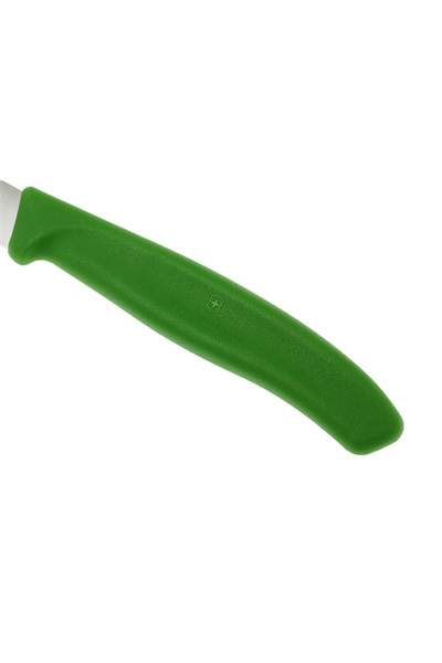 zst700000043----.jpg