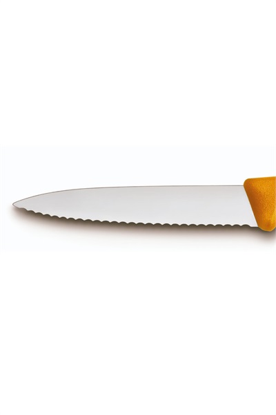 zst700000045----.jpg