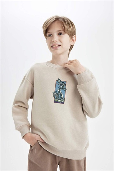 Defacto Erkek Çocuk  Sweat D5678A8/ER37 STONE