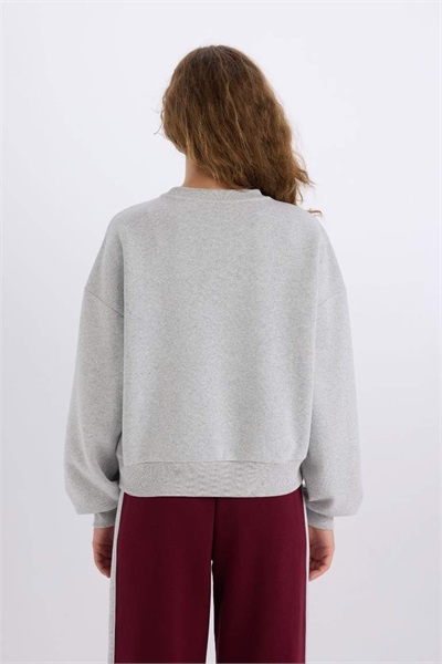 Defacto Kadın  Sweat E3387AX/GR42 GREY